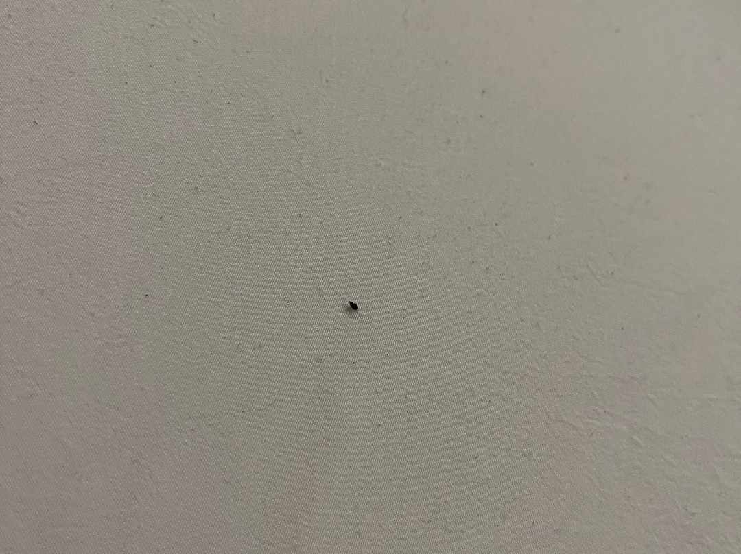 My Place Hotel - Kansas City / Independence, MO主图