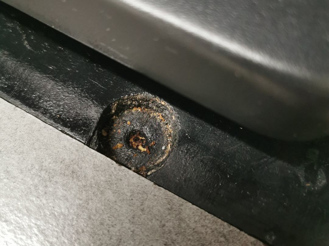 Best Western Endeavour Motel主图