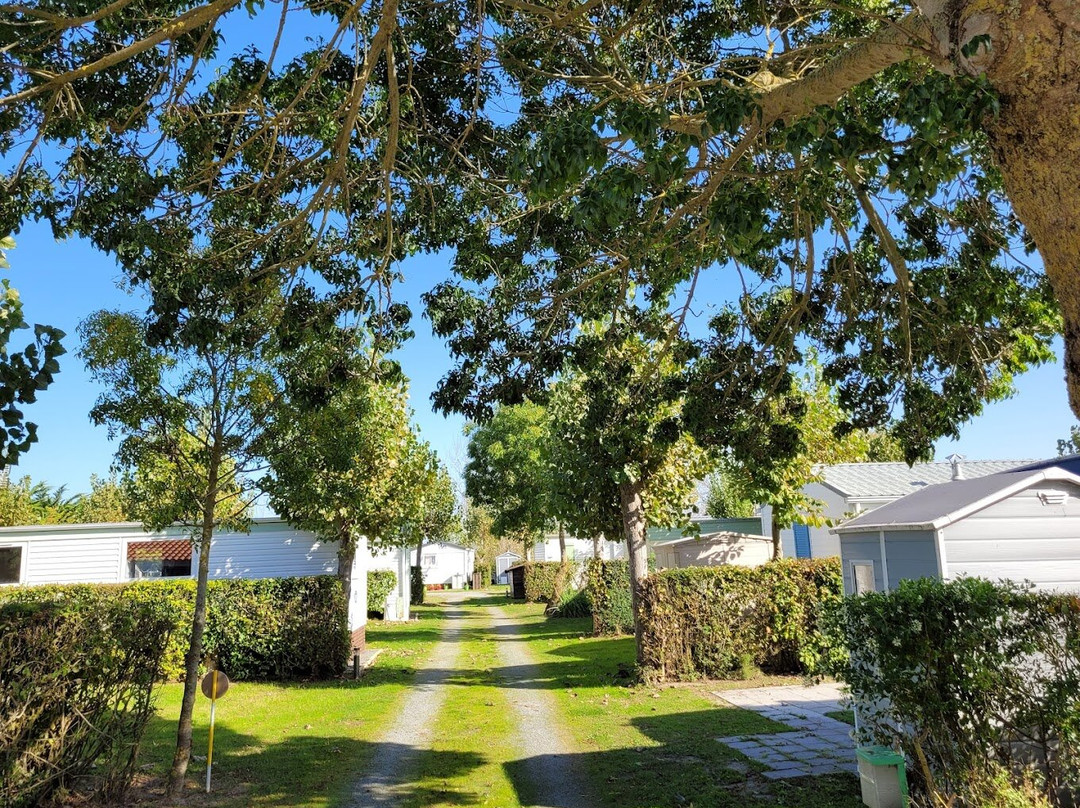 Camping A La Belle Etoile