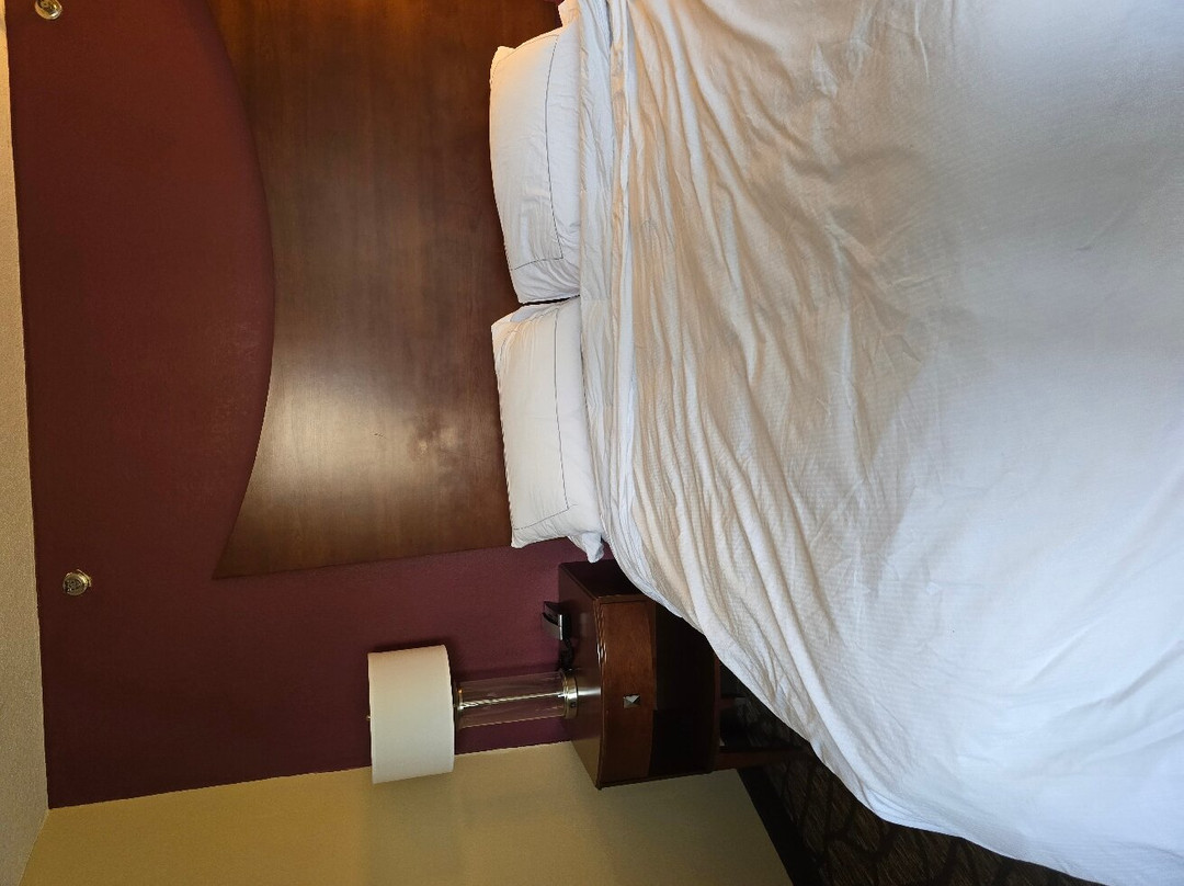 诺克斯维尔橡树岭希尔顿希尔顿逸林酒店主图