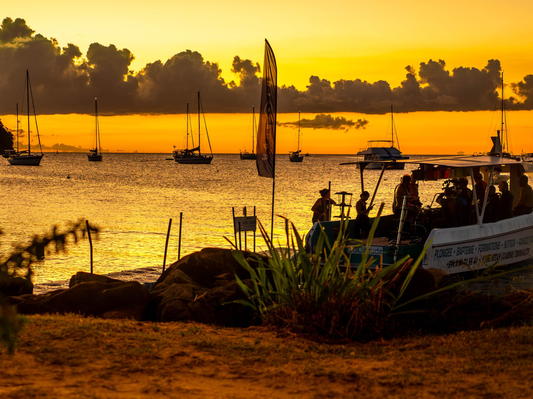 Abc Dive-Trois-Ilets必去景点
