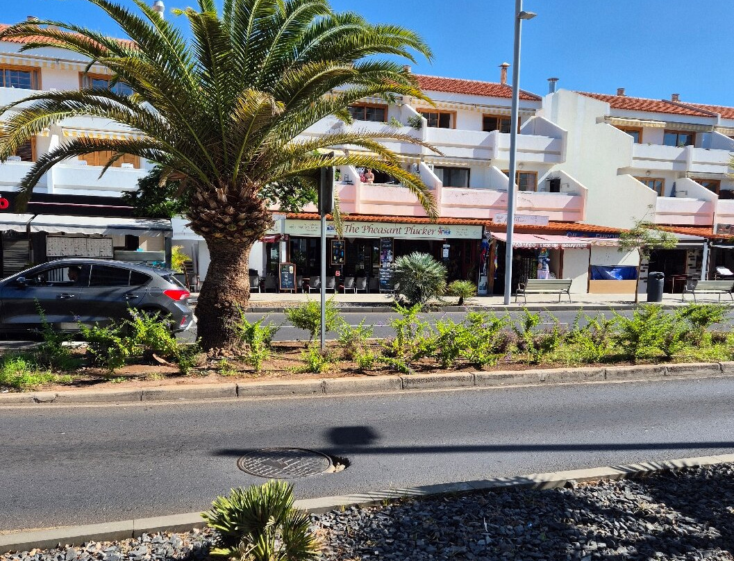 The Pheasant Plucker Tenerife-奥德杰海岸必去景点