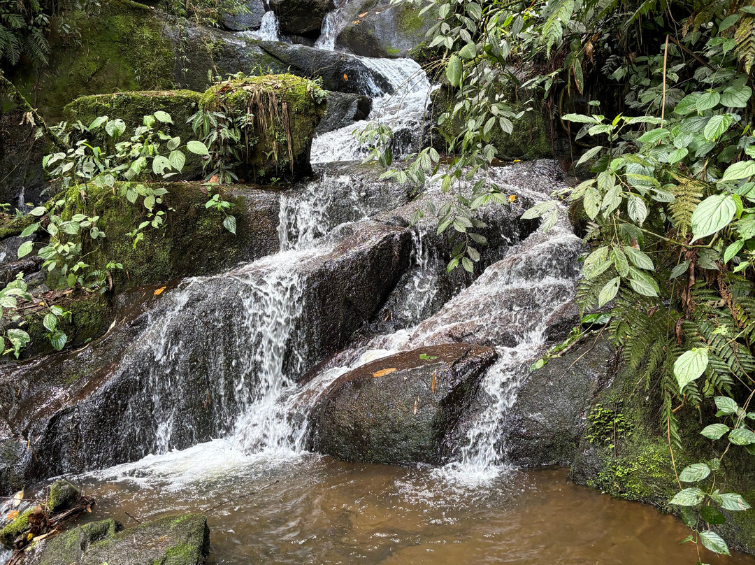 Mirante Pedra de São Francisco-Monteiro Lobato必去景点