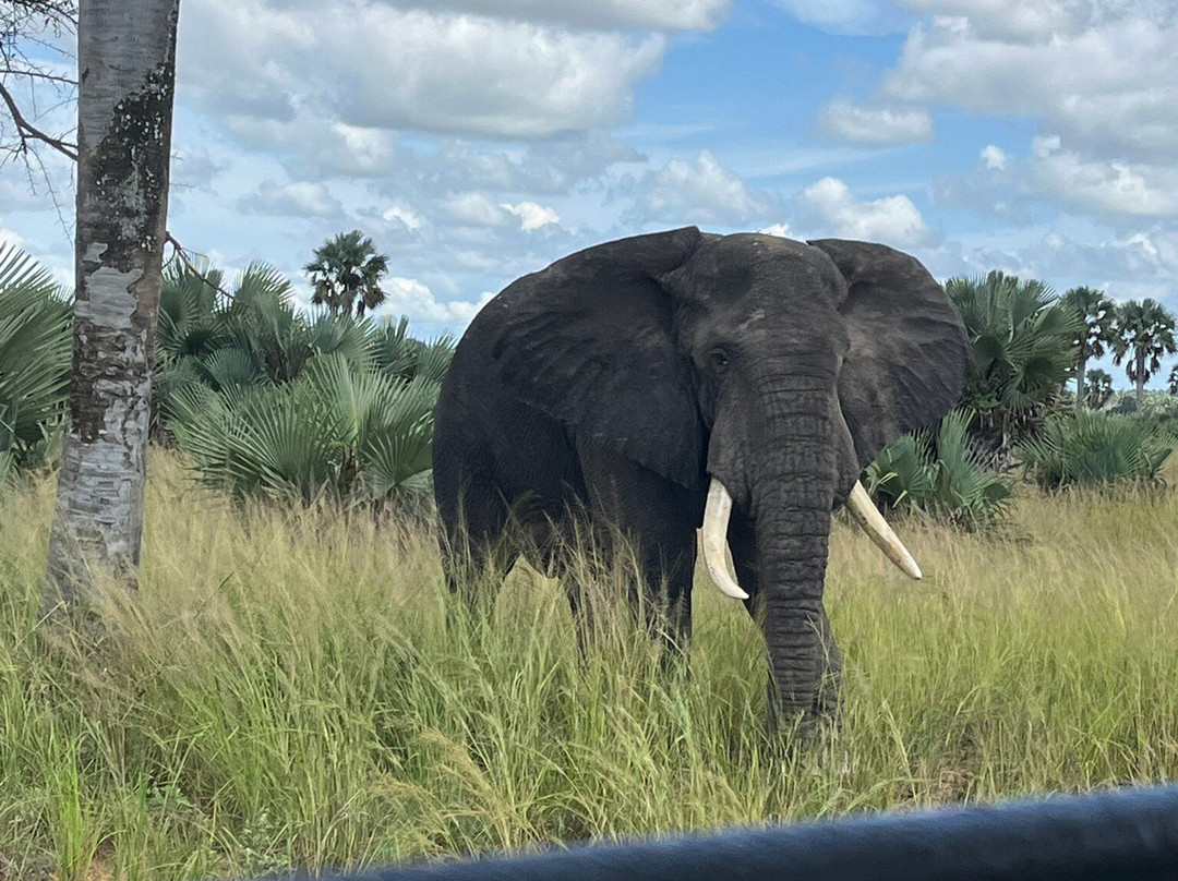 Prime Safaris & Tours-坎帕拉必去景点