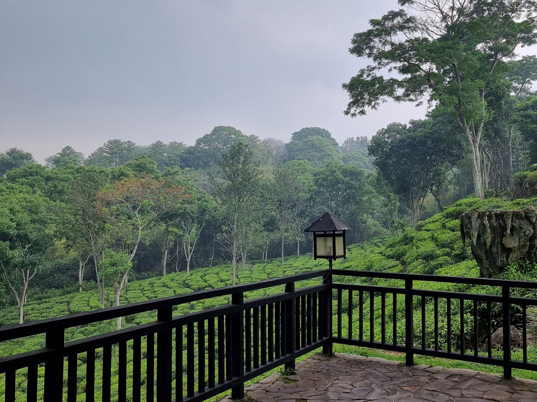 Kebun Teh Wonosari-Lawang必去景点