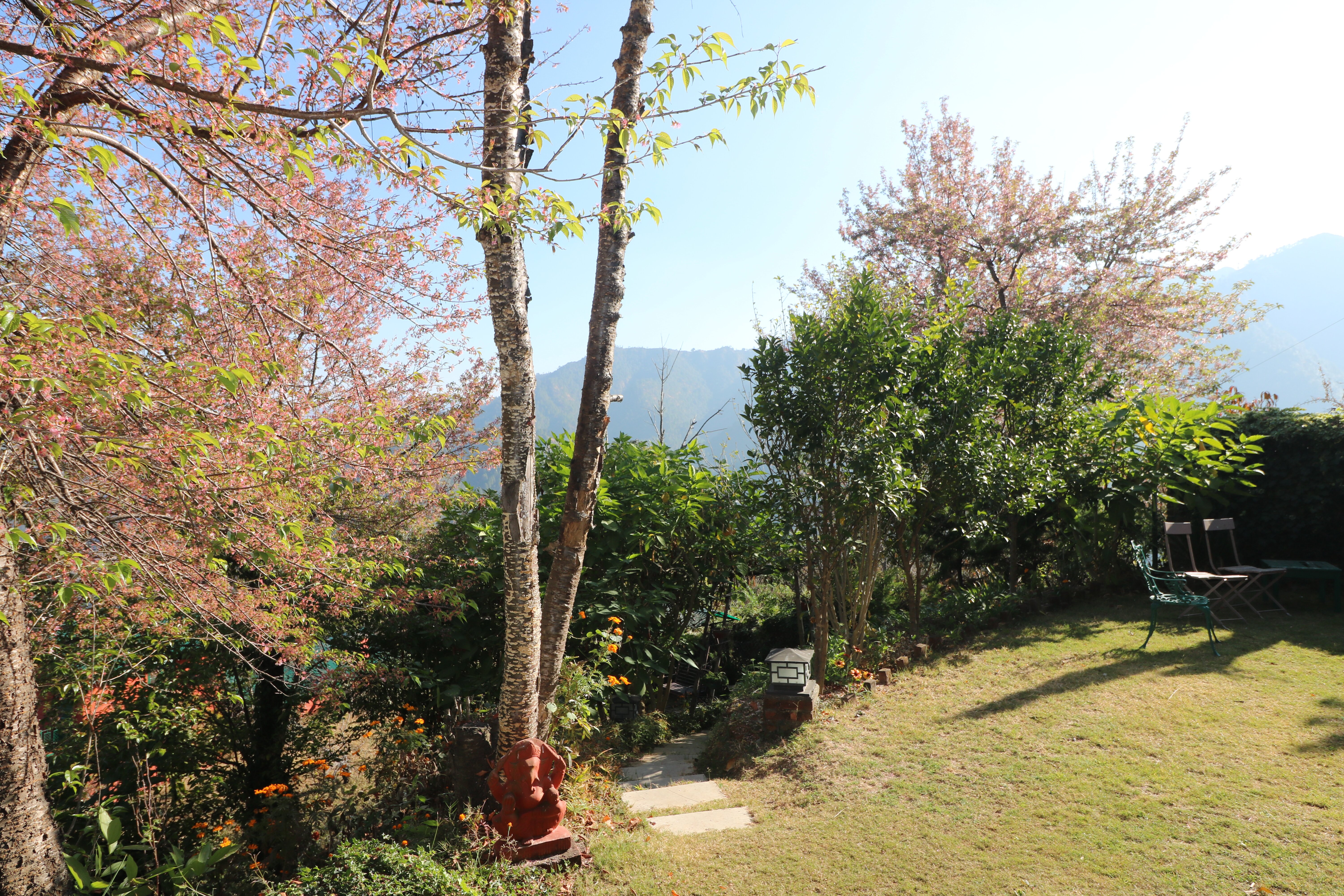 Neemrana's - Ramgarh Bungalows-酒店景观
