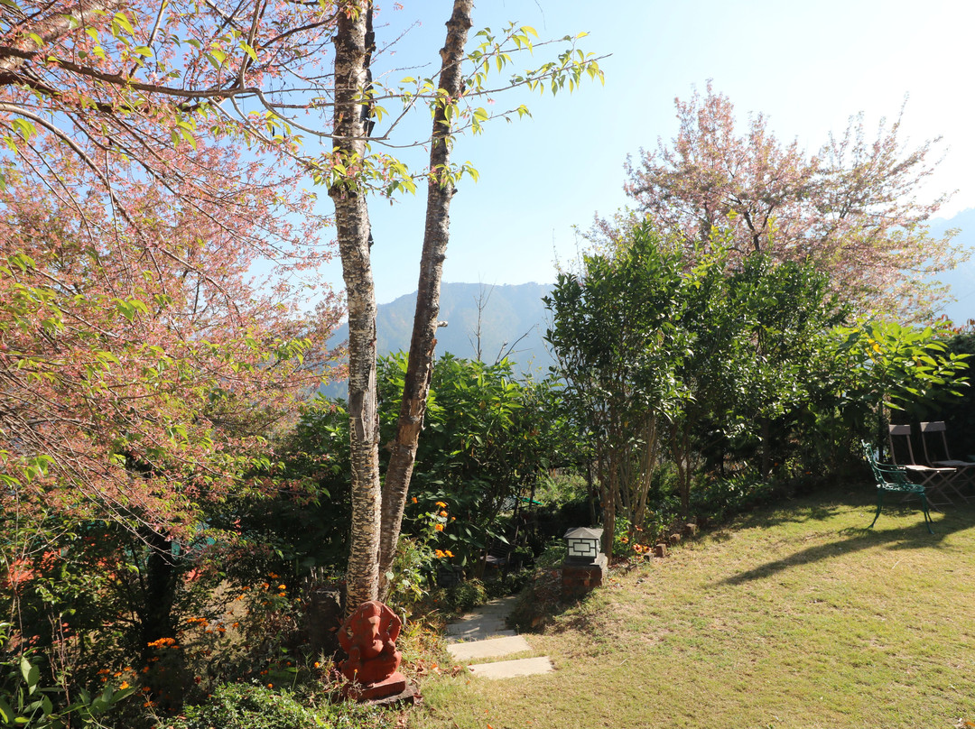 Neemrana's - Ramgarh Bungalows主图