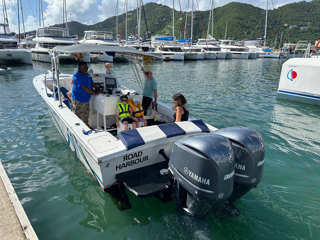 Dolphin Water Taxi-圣 托马斯必去景点