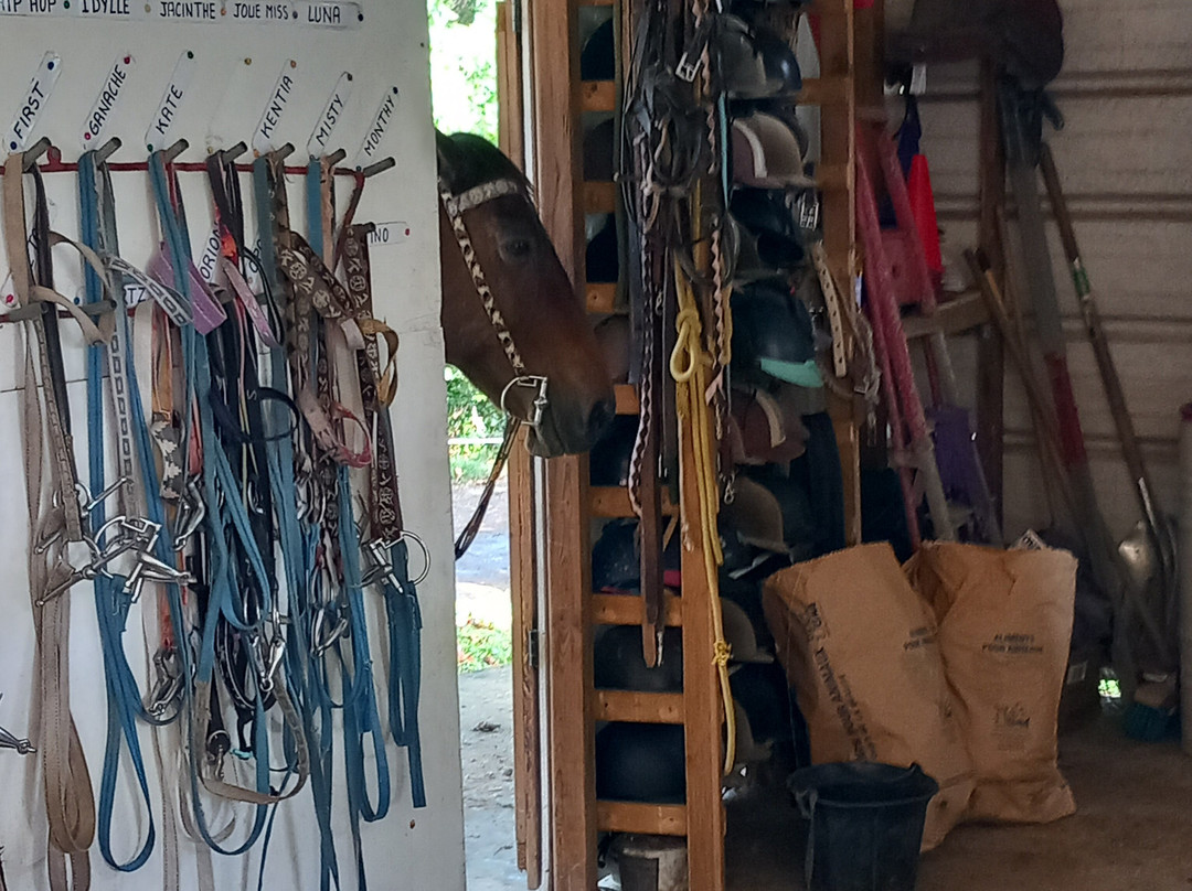 Ranch Jack-Trois-Ilets必去景点