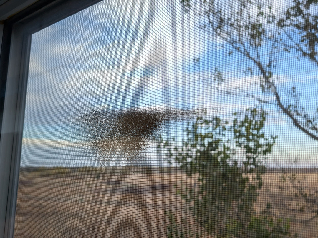 Holiday Inn Express & Suites Childress By IHG主图