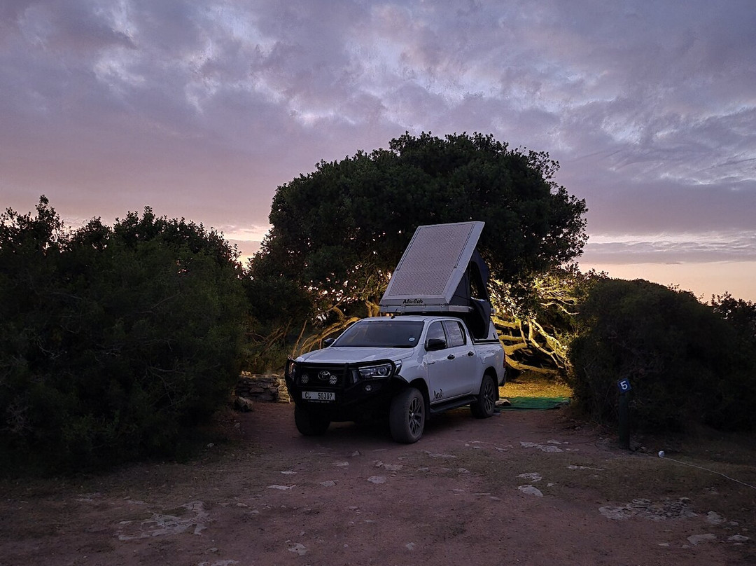 De Hoop Nature Reserve Whale Trail-De Hoop Nature Reserve必去景点