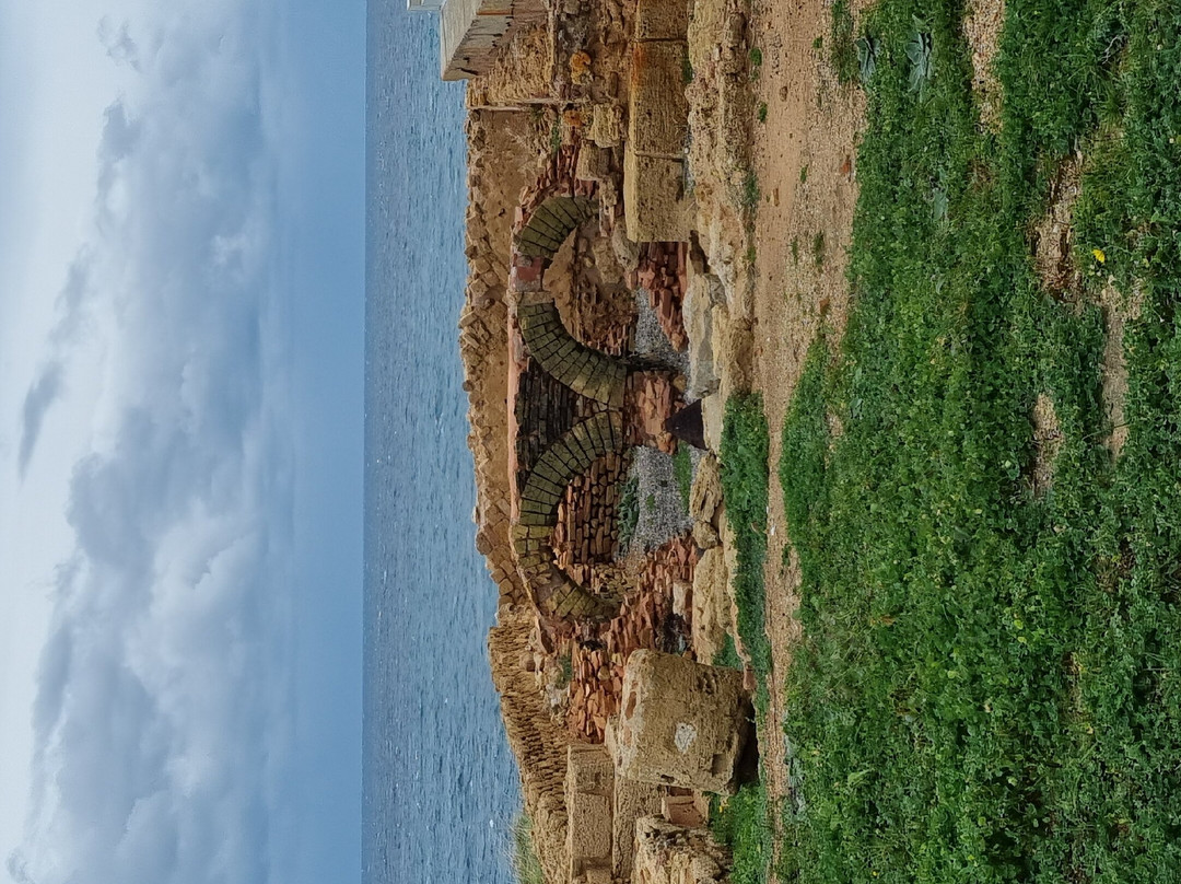 Museo e Parco Archeologico di Capo Colonna-Capocolonna必去景点