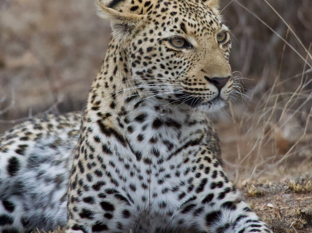 B1 Photo Safaris-雾观必去景点