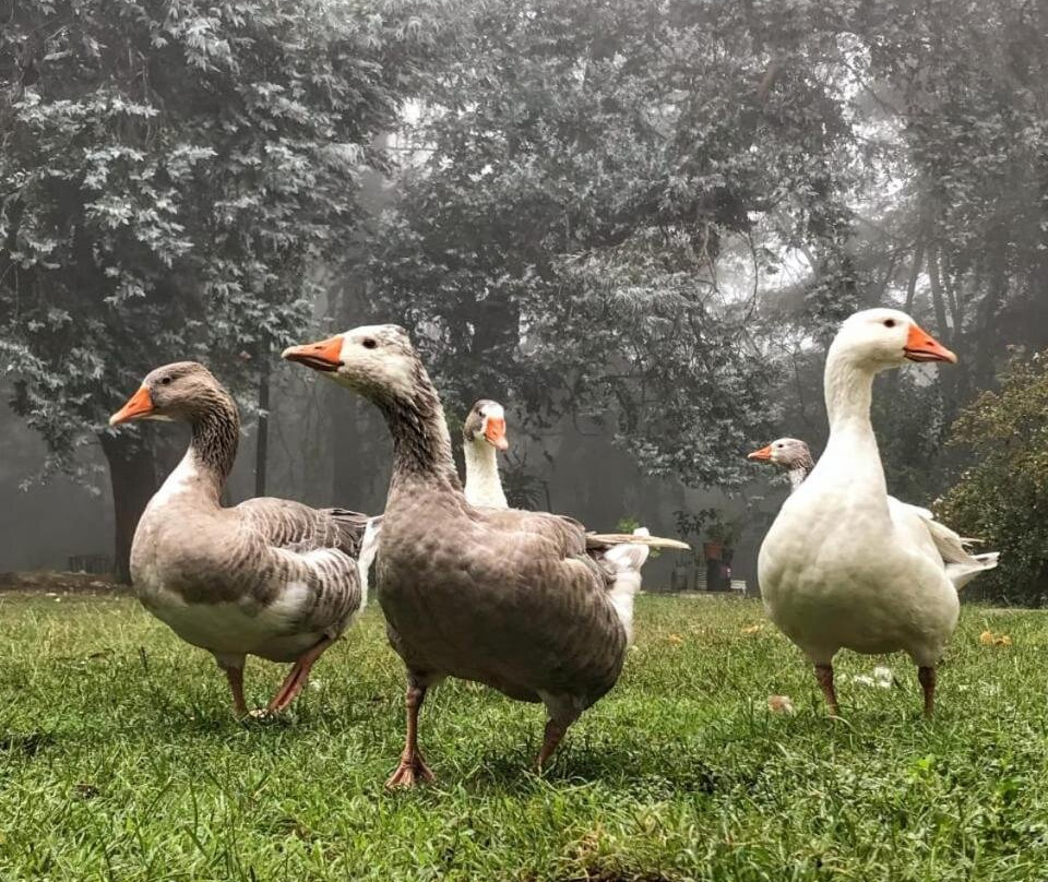 Posada El Durazno主图