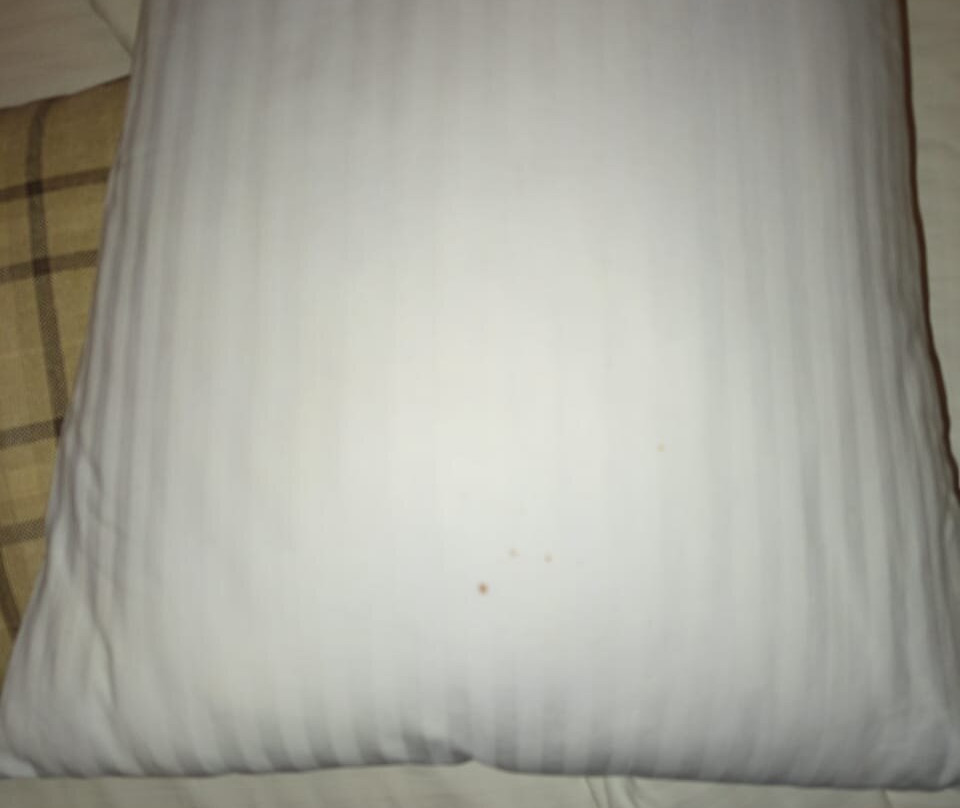 Avenra Gangaara Hotel主图