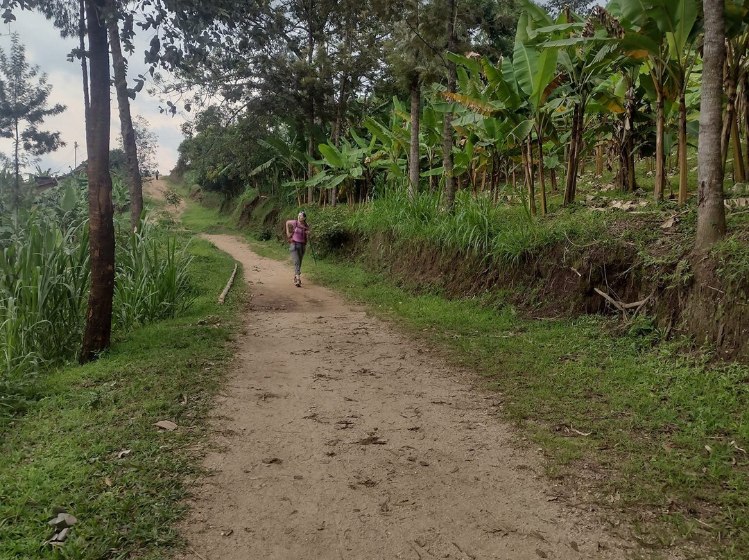 Go Gisenyi Tours-吉塞尼必去景点