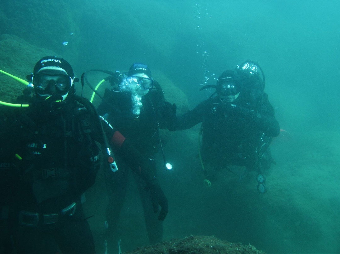 Diving Center Marco Polo景点图片