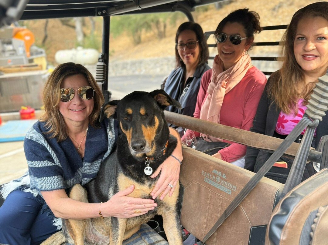 Wine Tasting With Women Drivers-纳帕必去景点