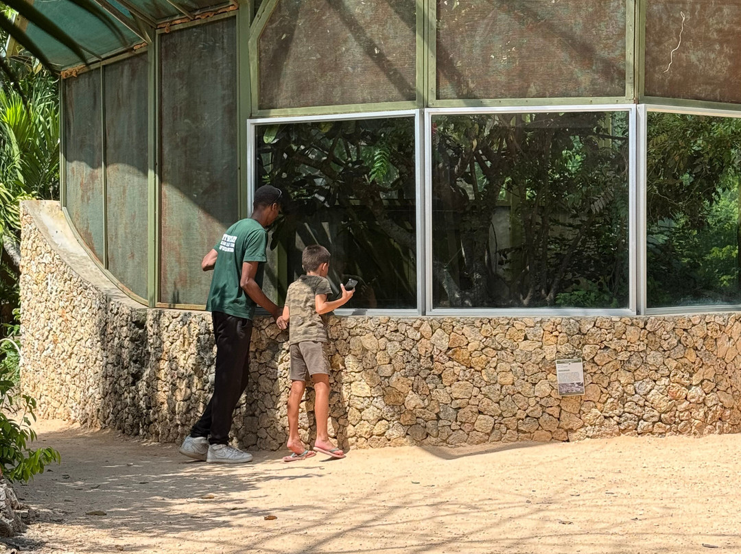 The Watamu Snake Farm-瓦塔木必去景点