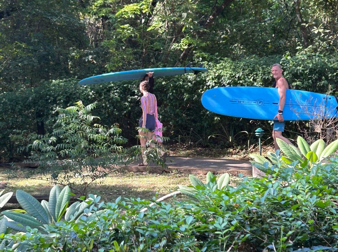 Avellanas Soul Surf School景点图片