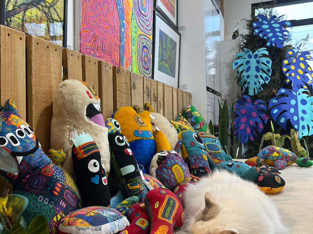 Ferlander Arguedas Studio & Art Gallery景点图片