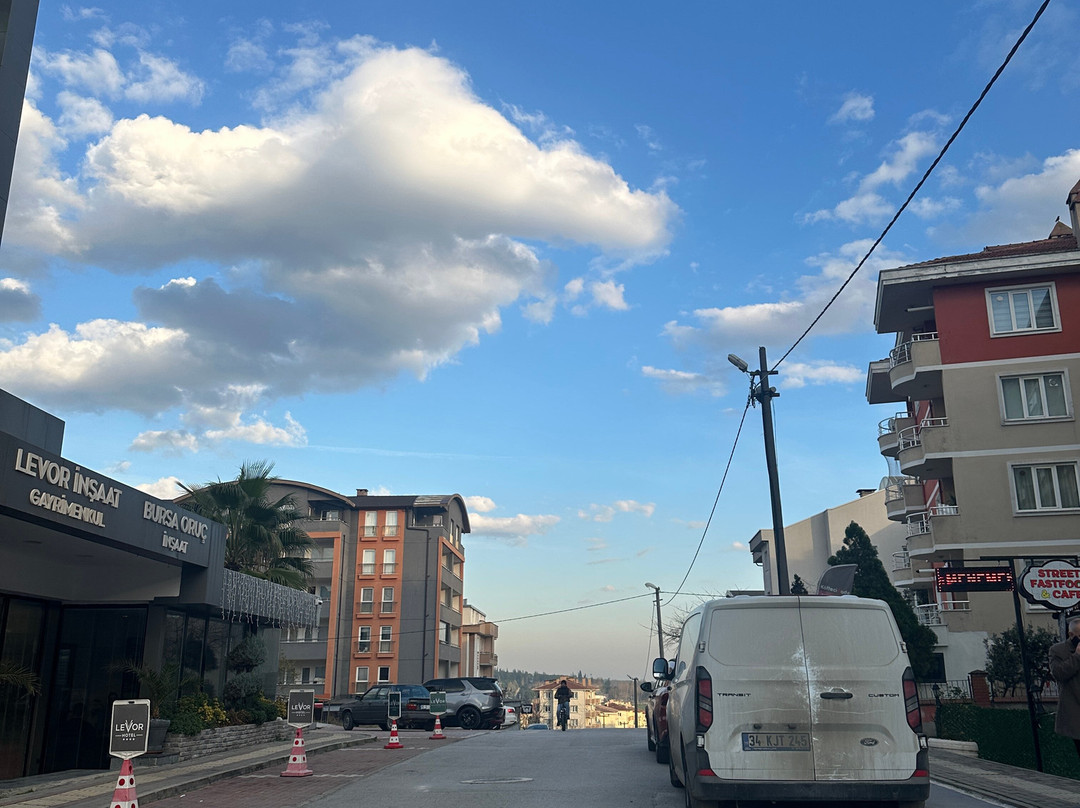 Levor Hotel主图