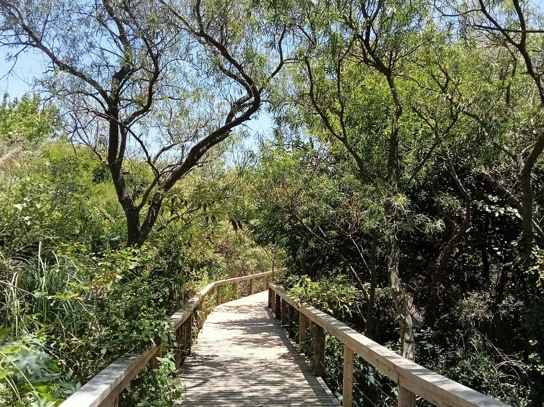 Reserva Ecológica Costanera Sur-布宜诺斯艾利斯必去景点