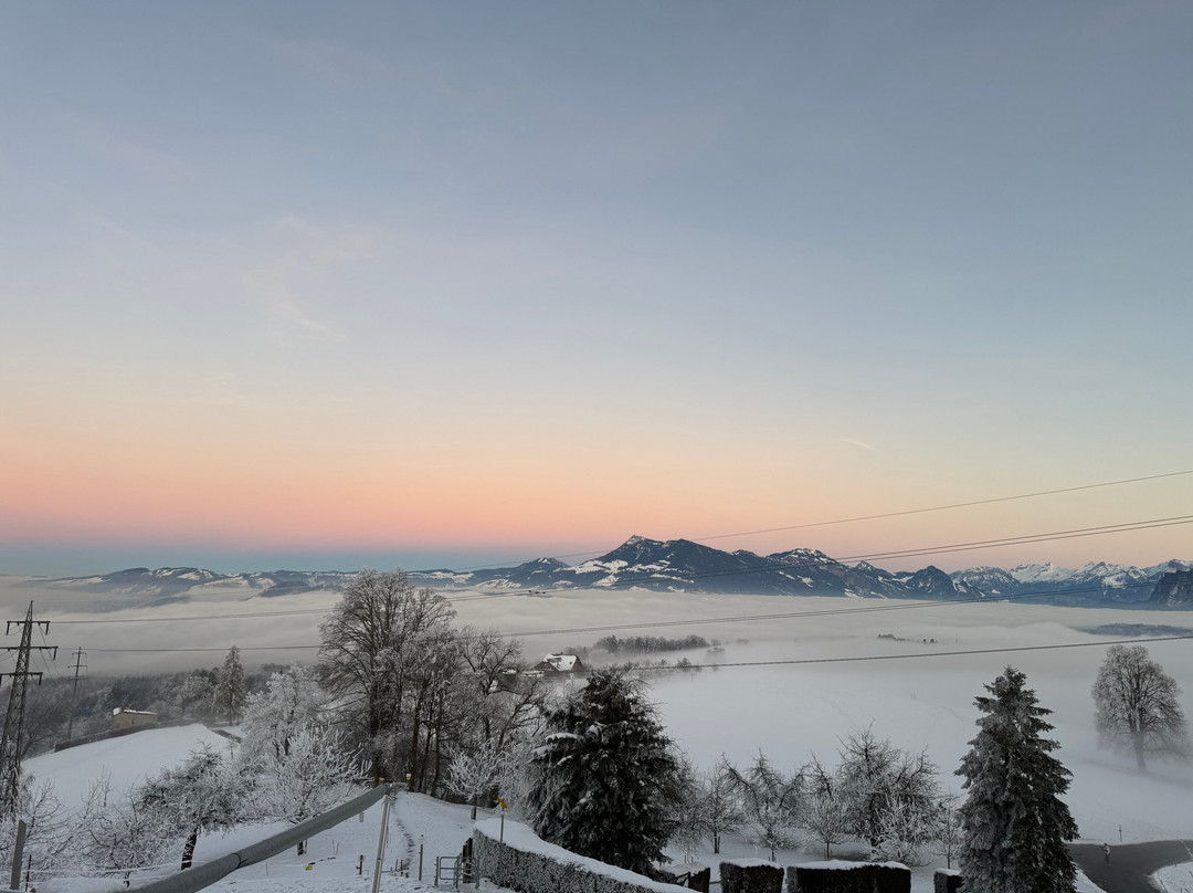 桑弄伯格酒店主图