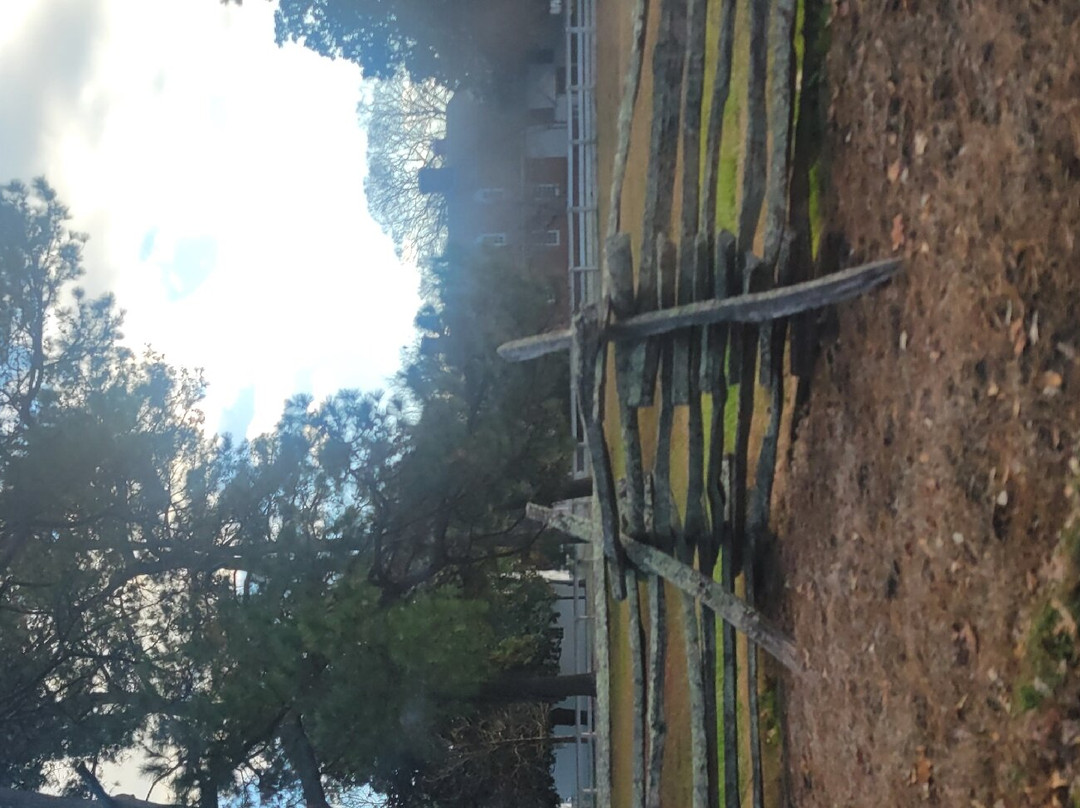 Holiday Inn Express Williamsbrg Busch Gardens Area By IHG主图