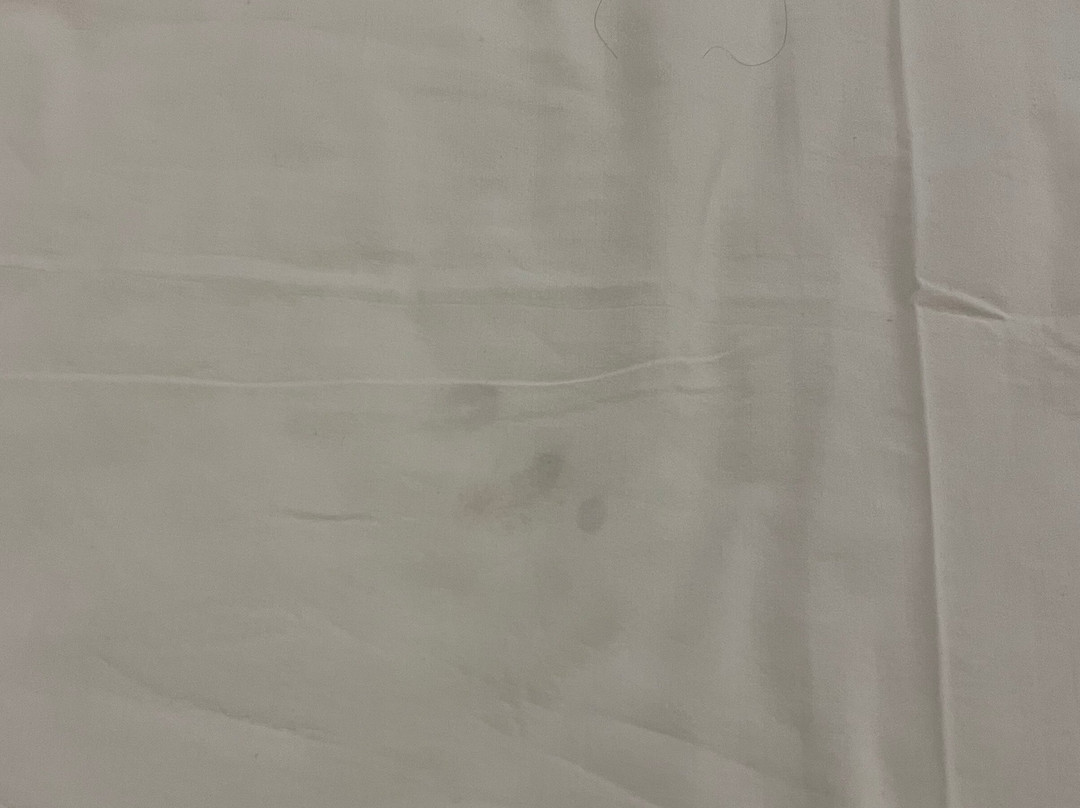 Welcomhotel By ITC Hotels - Kences Palm Beach主图