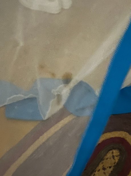 桑给巴尔度假酒店-旅行者