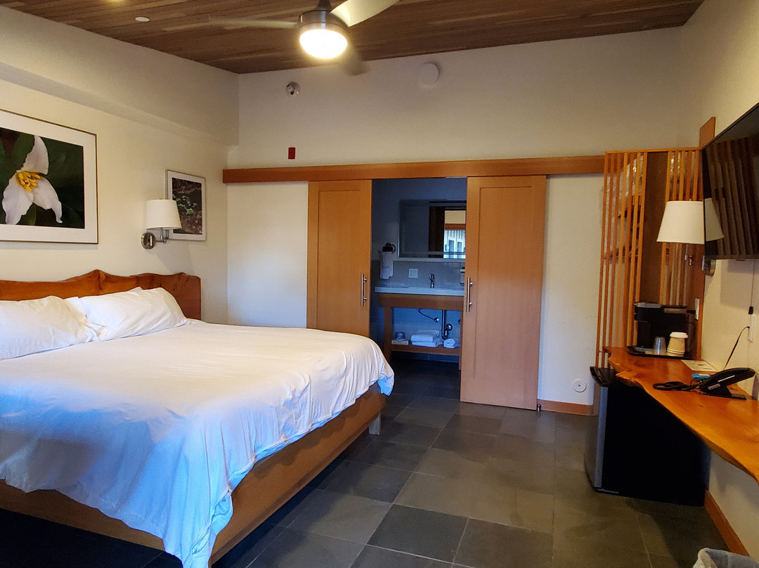 Wildflower Boutique Motel主图