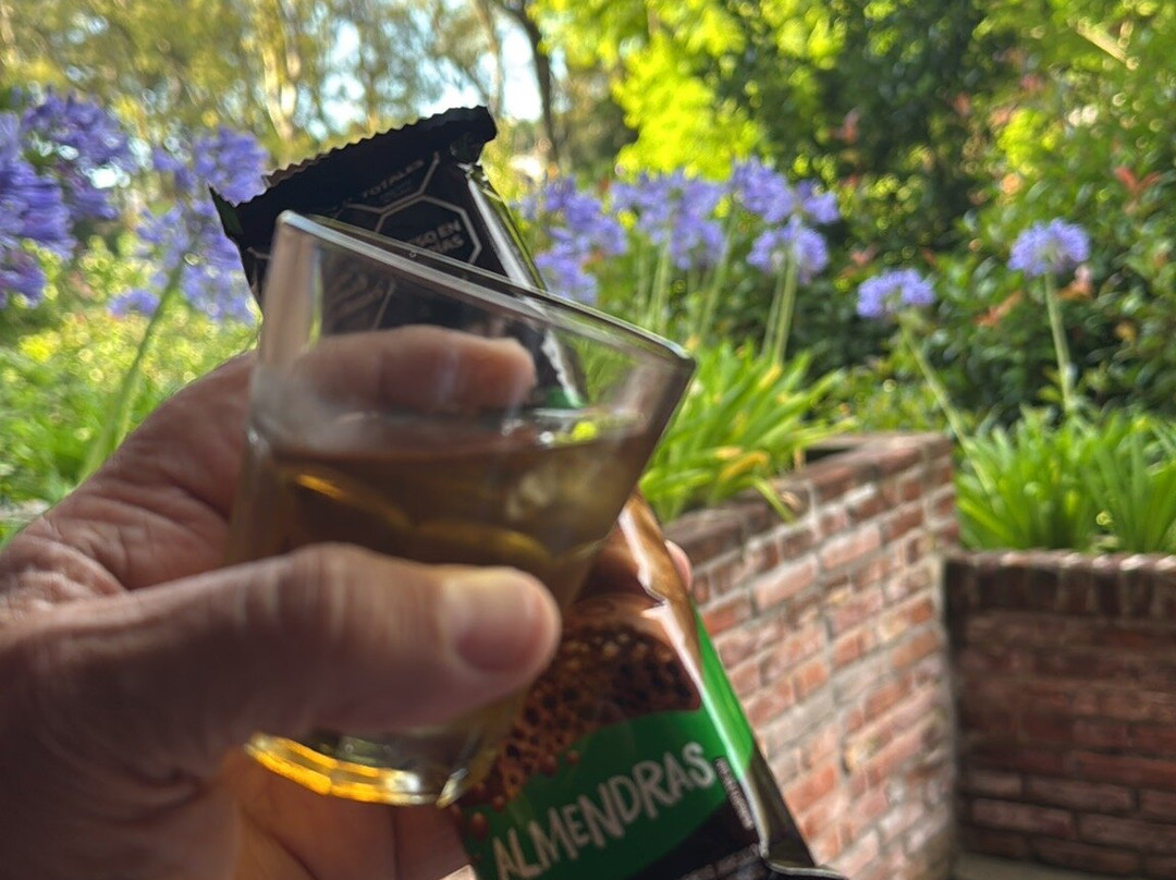 Hotel Del Bosque主图