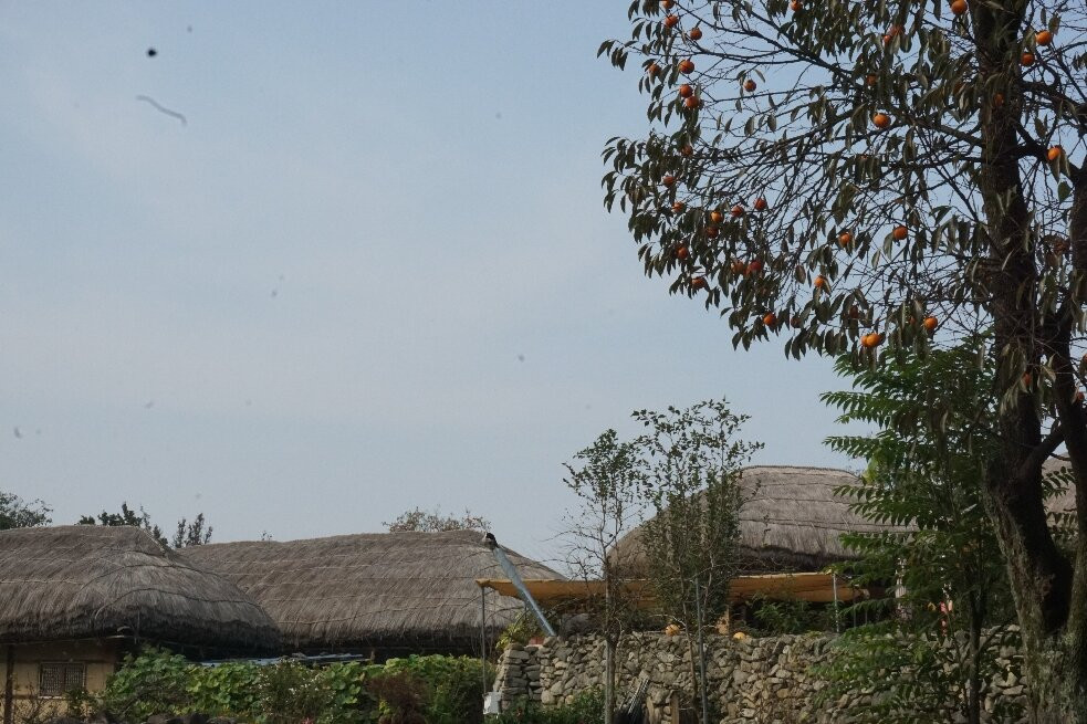 Oeam Folk Village-牙山市必去景点