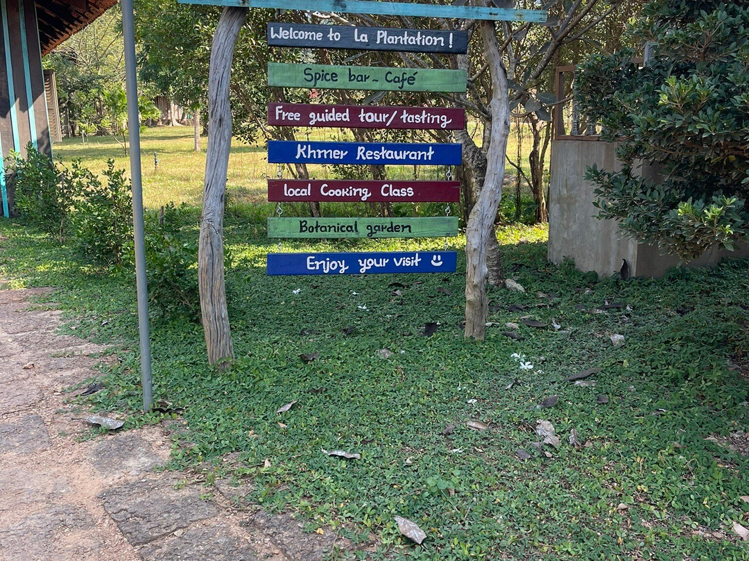 胡椒种植园-贡布必去景点