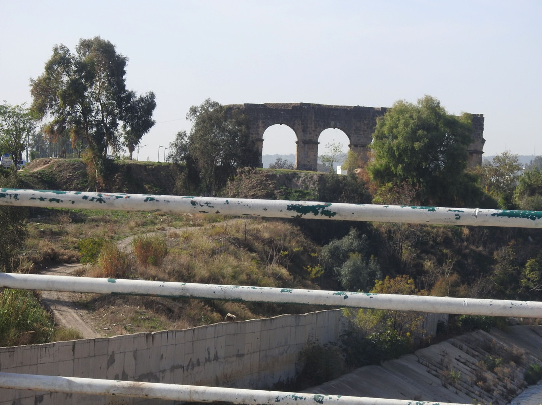 L'aqueduc Romain Constantine景点图片