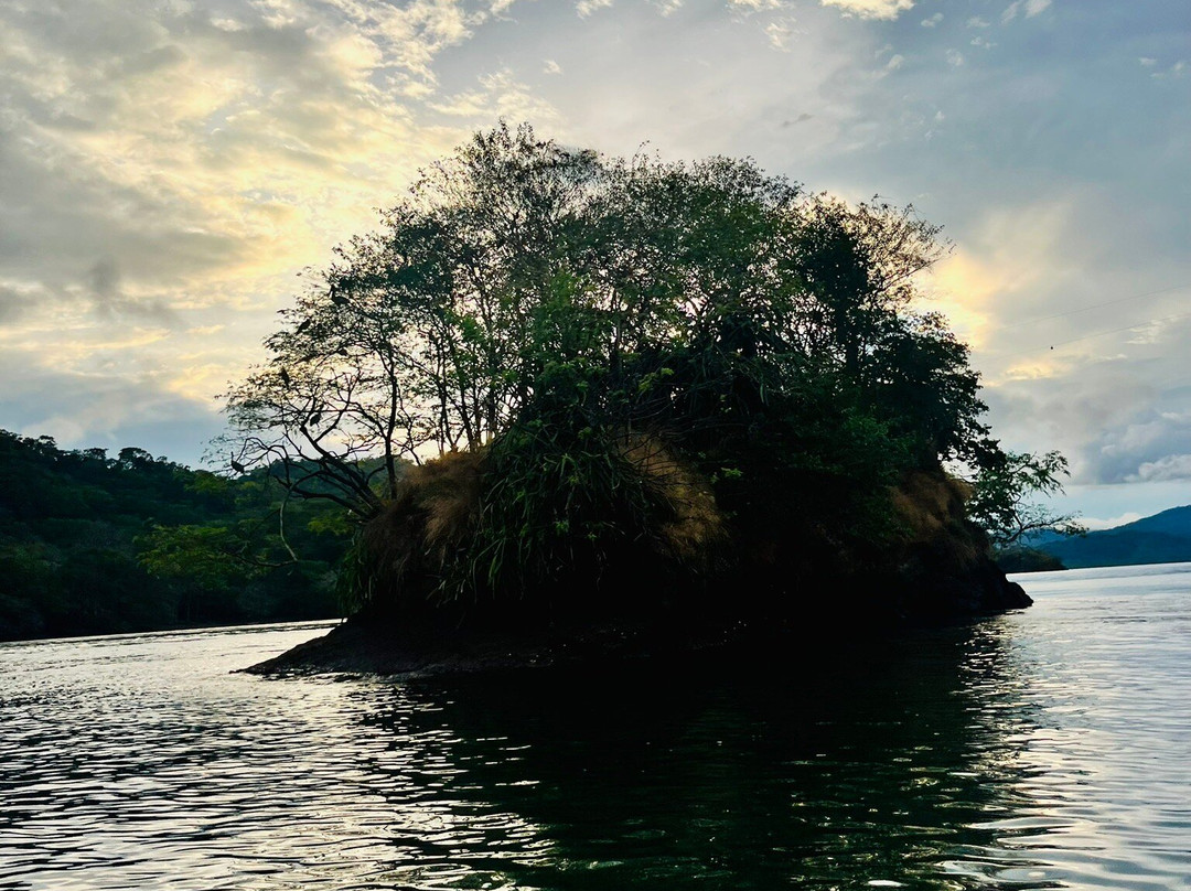 Bahia Rica Fishing and Kayak Lodge主图