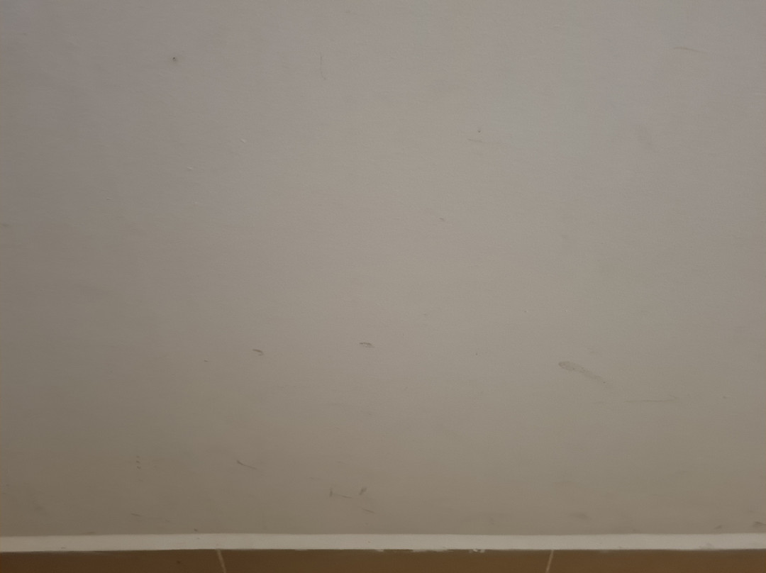 Hotel Republicano 1910主图