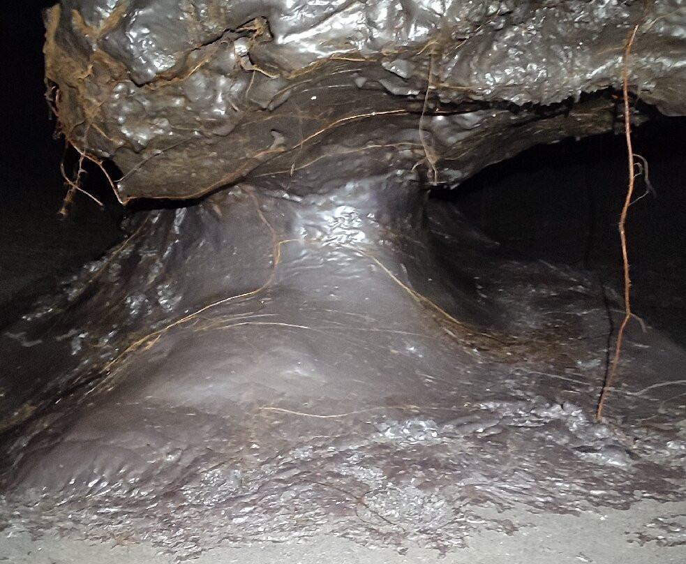Tunnels de lave Réunion: Volcanorun景点图片