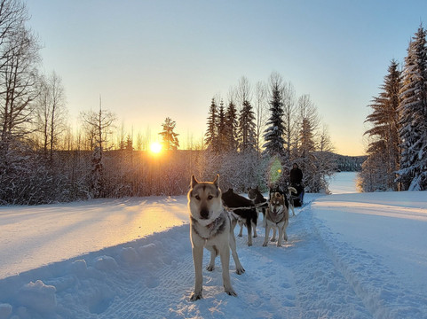 Vitanorse-Robertsfors必去景点