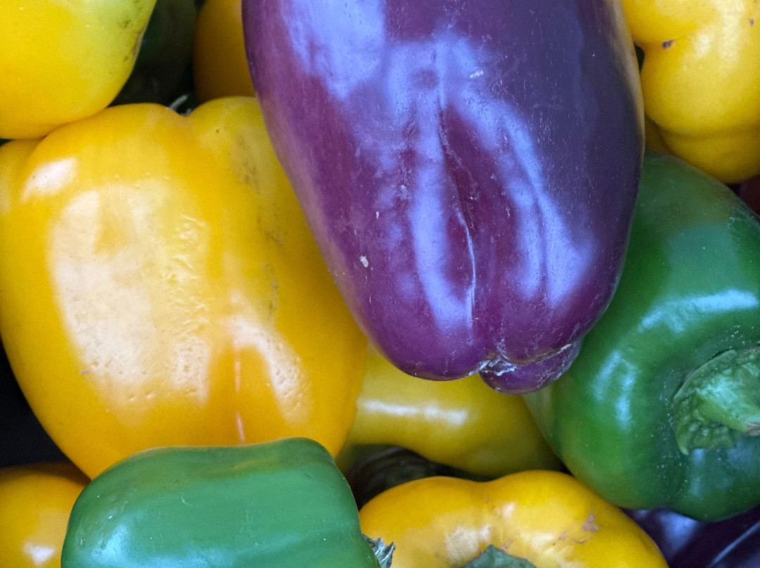 Fernandina Beach Market Place-费尔南迪纳岛必去景点