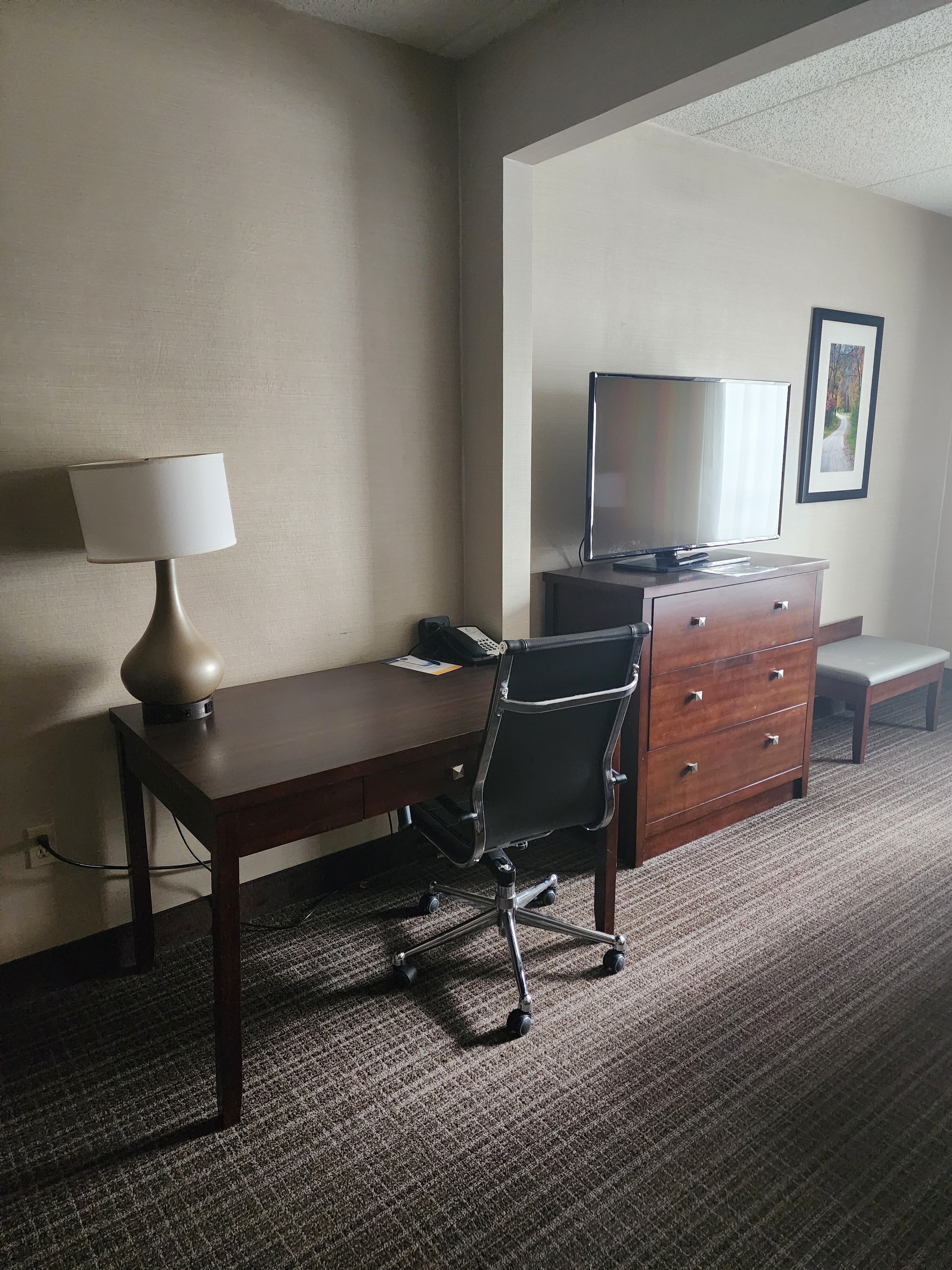 Comfort Suites-客卧