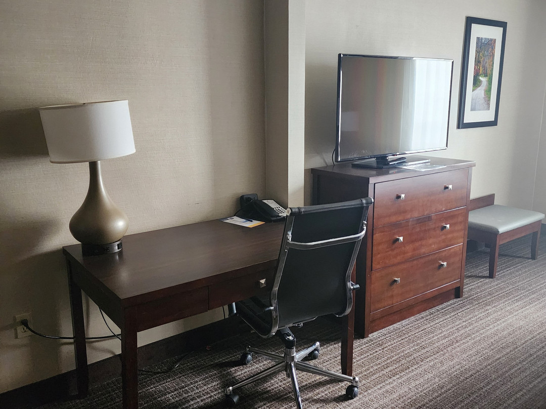 Comfort Suites主图