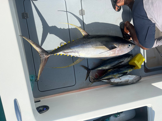 Locals Offshore Fiji-丹娜努岛必去景点