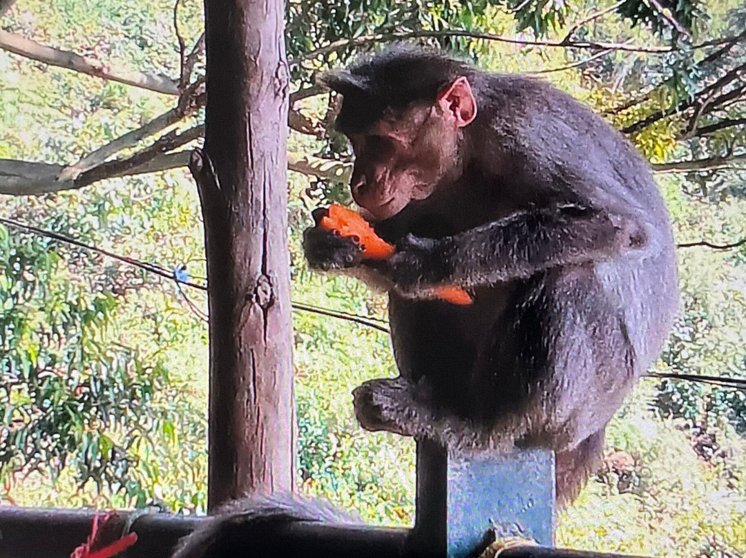 Top Station-慕那尔必去景点