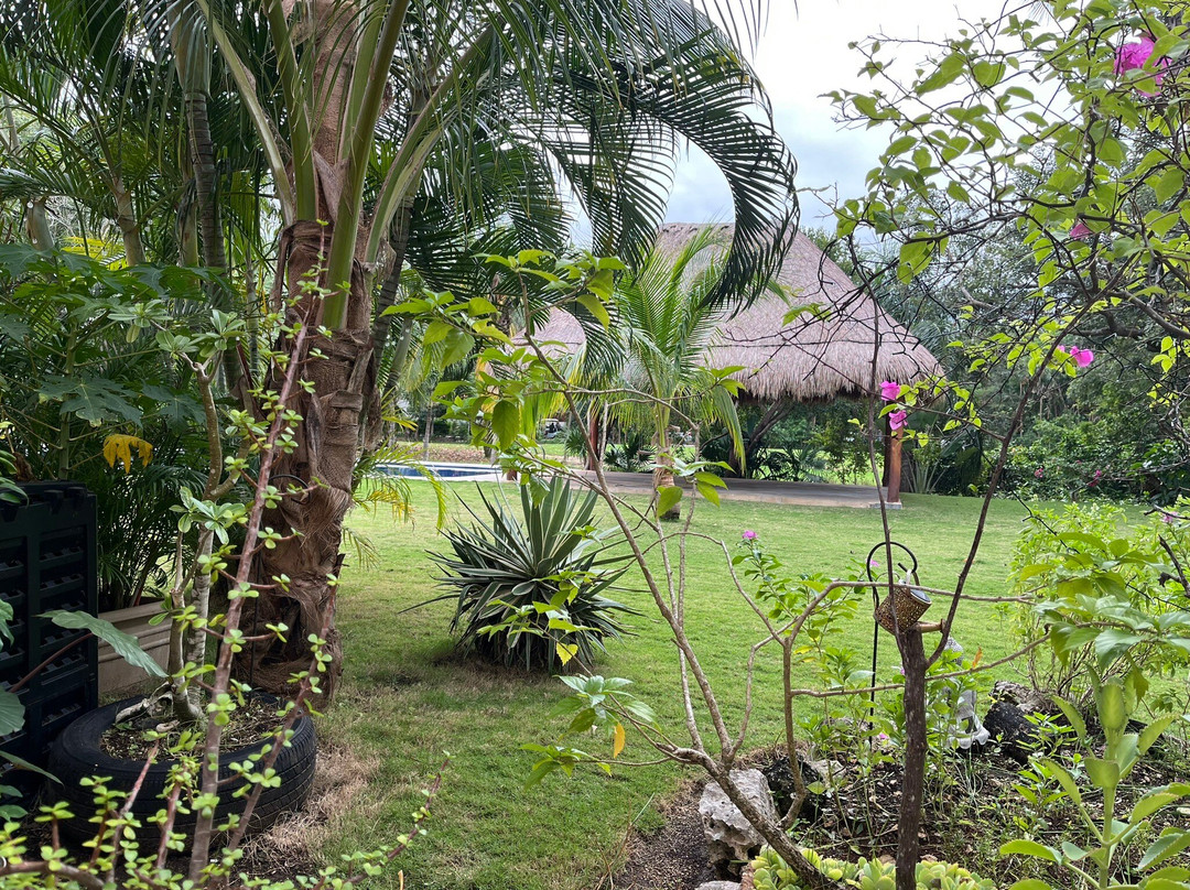 妈妈之家住宿加早餐酒店主图