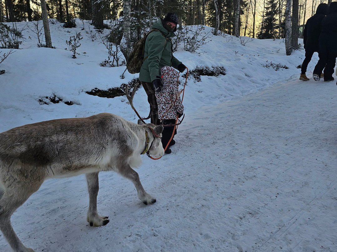 Kujala Reindeer Farm-库萨莫必去景点