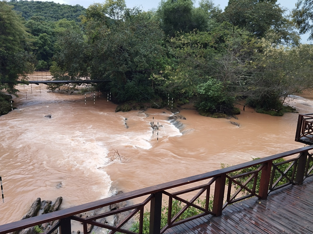 Parque Municipal Recanto do Americo景点图片