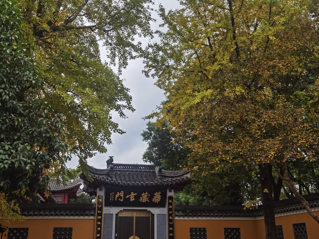 金山公园-镇江市必去景点