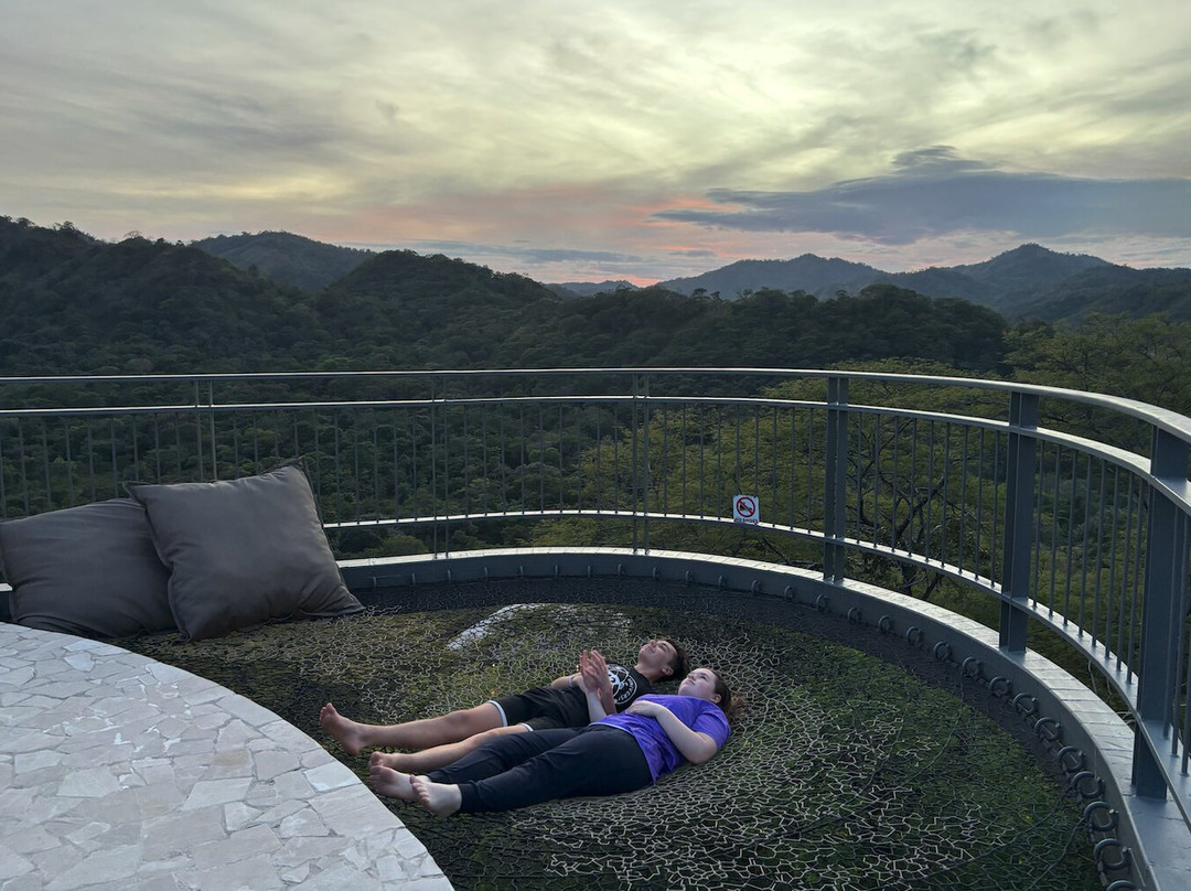 Suitree Experience Hotel Costa Rica主图